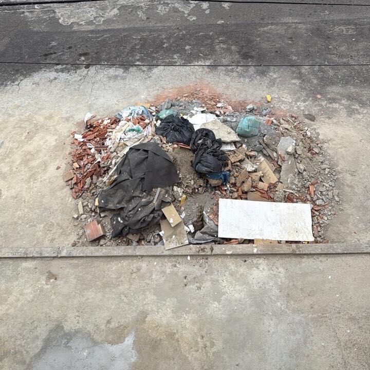 Imagem da publicação