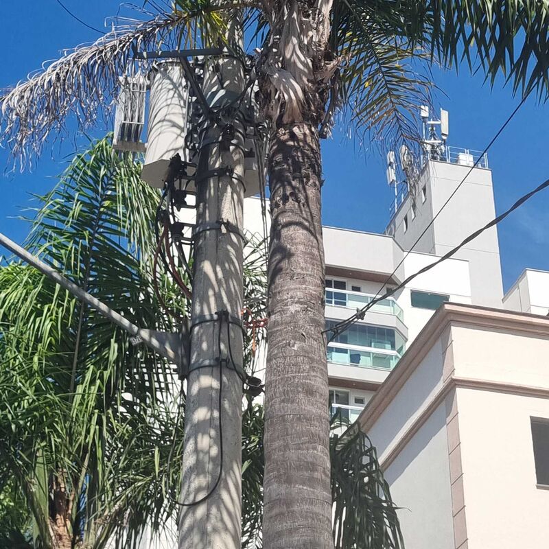 Imagem da publicação