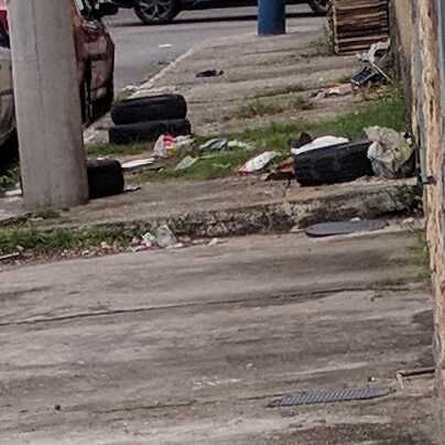 Imagem da publicação