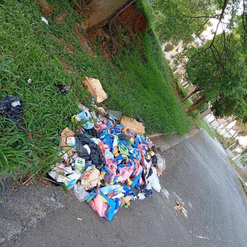 Imagem da publicação