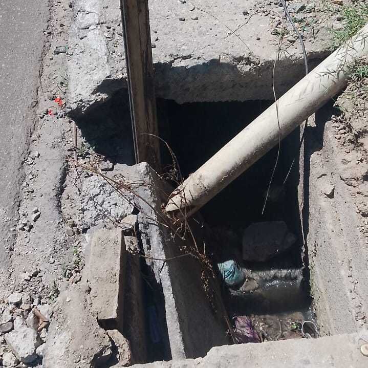 Imagem da publicação