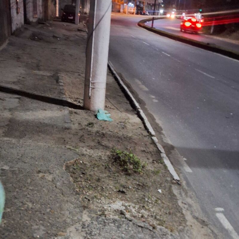 Imagem da publicação