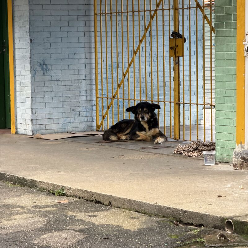 Imagem da publicação