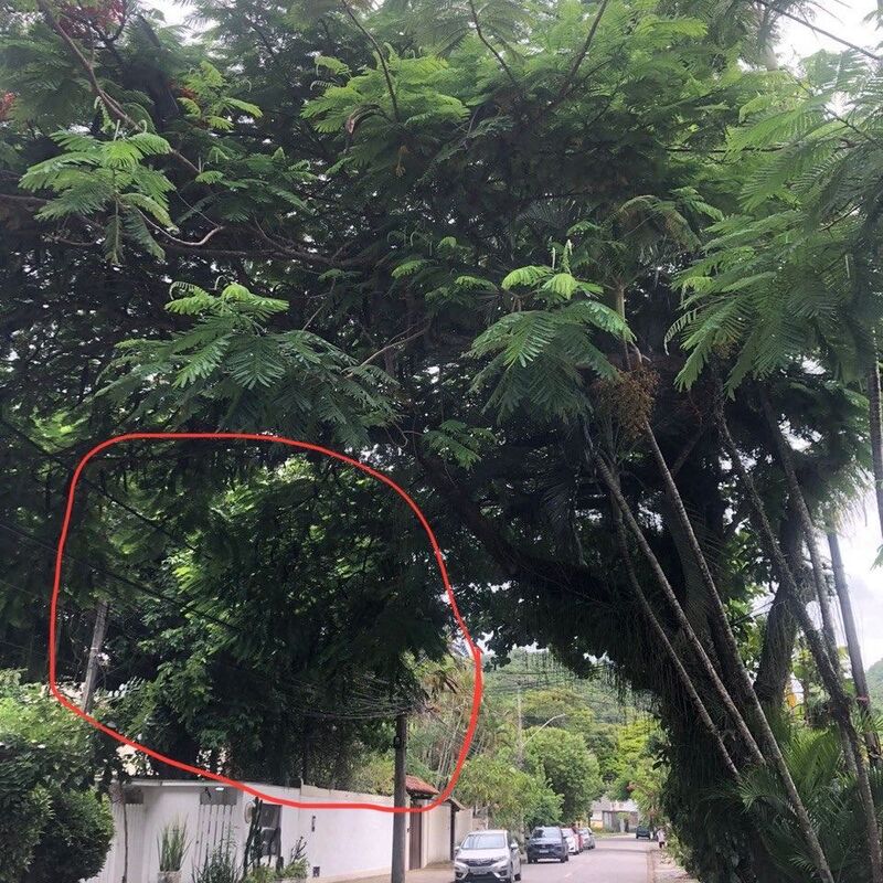 Imagem da publicação