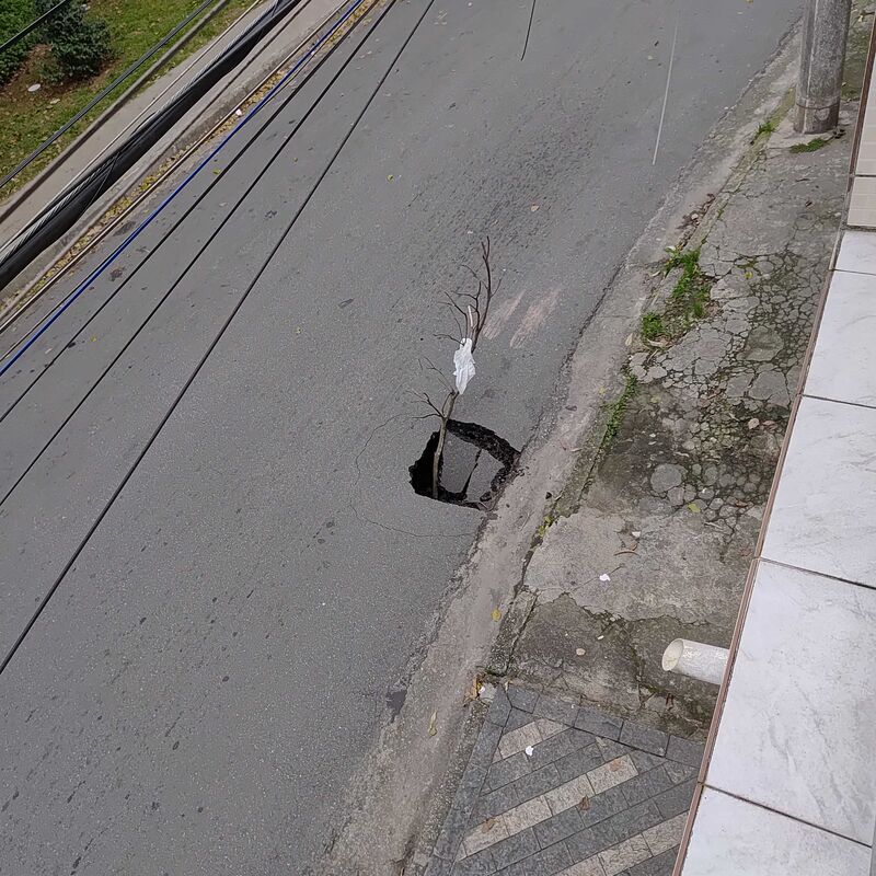 Imagem da publicação