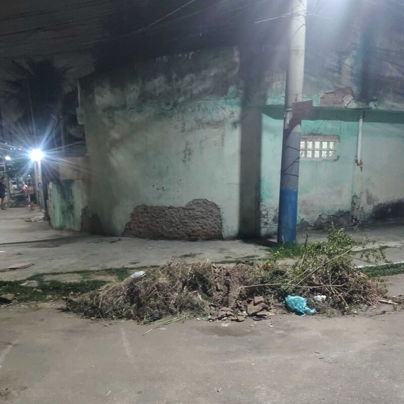 Imagem da publicação