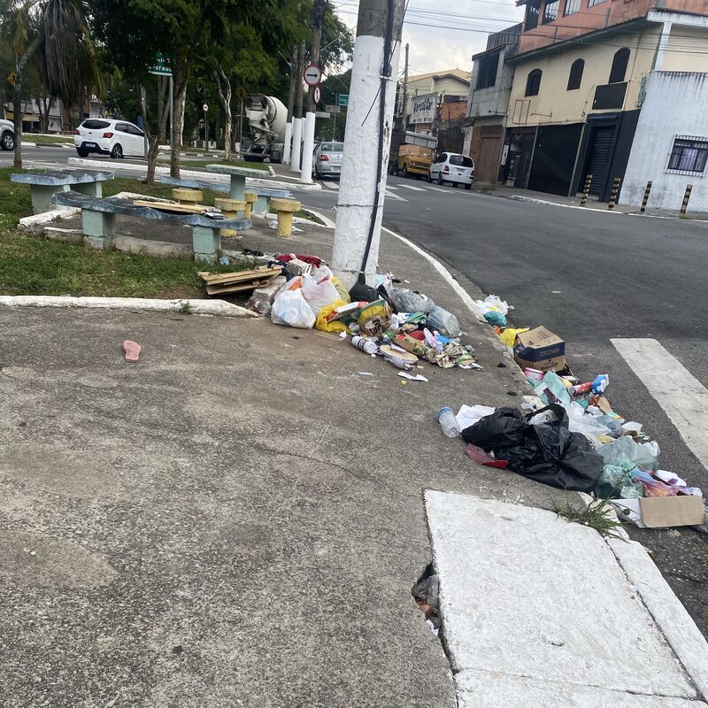 Imagem da publicação