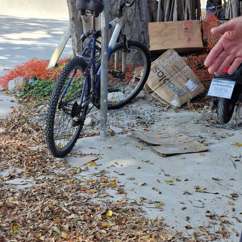 Imagem da publicação