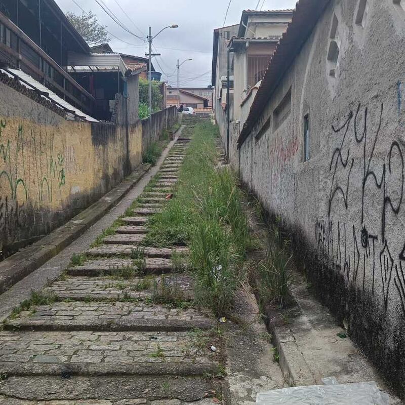 Imagem da publicação