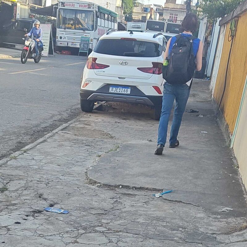 Imagem da publicação