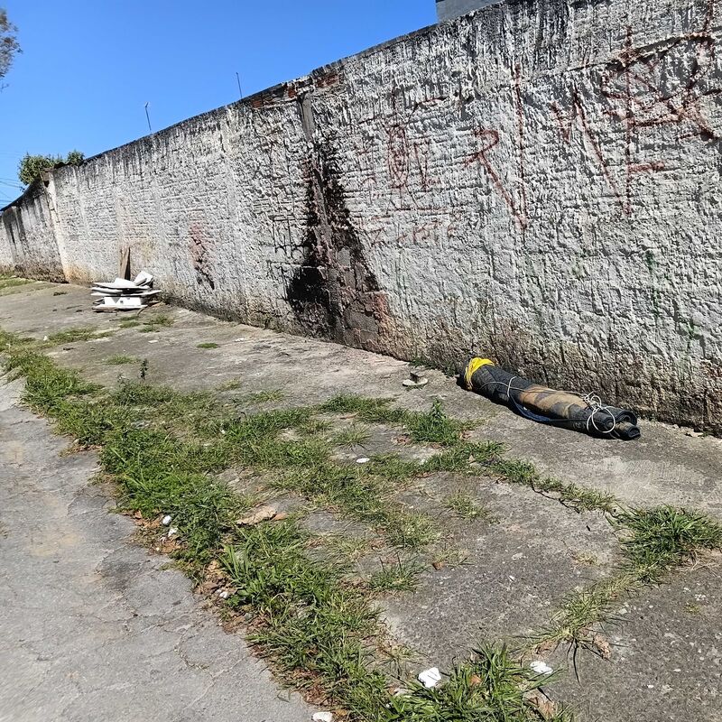 Imagem da publicação