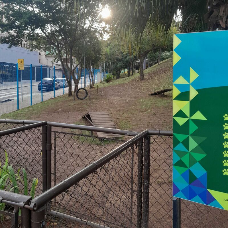 Imagem da publicação