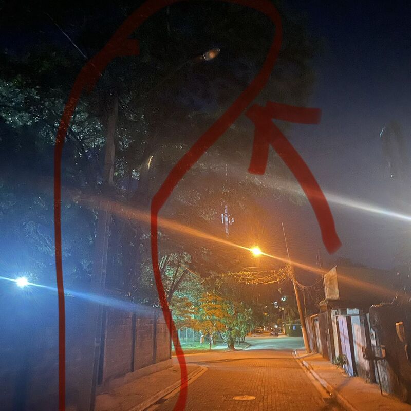 Imagem da publicação