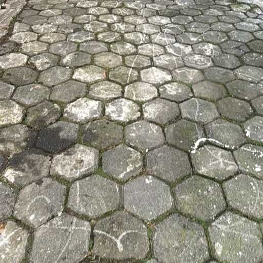Imagem da publicação