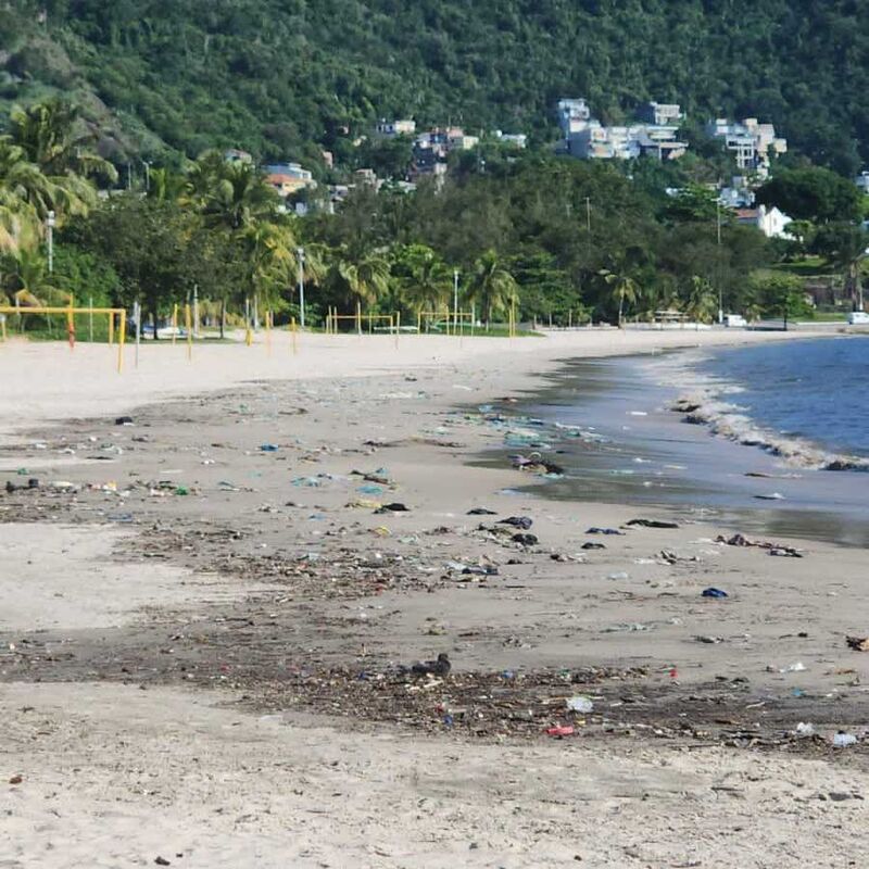 Imagem da publicação