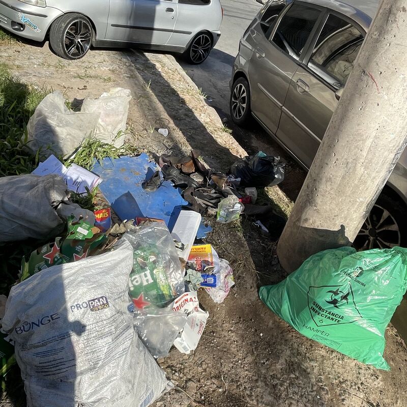 Imagem da publicação