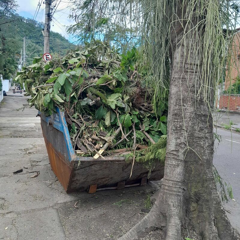 Imagem da publicação
