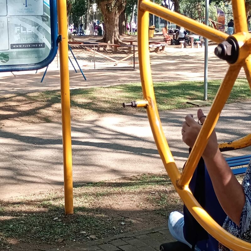 Imagem da publicação