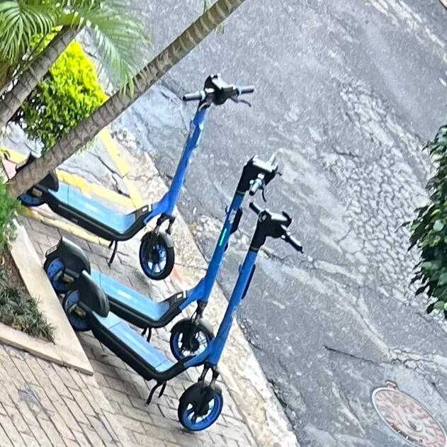 Imagem da publicação