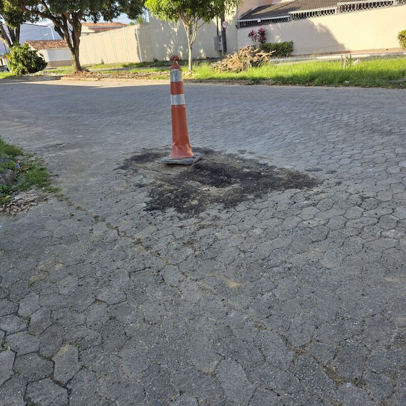 Imagem da publicação