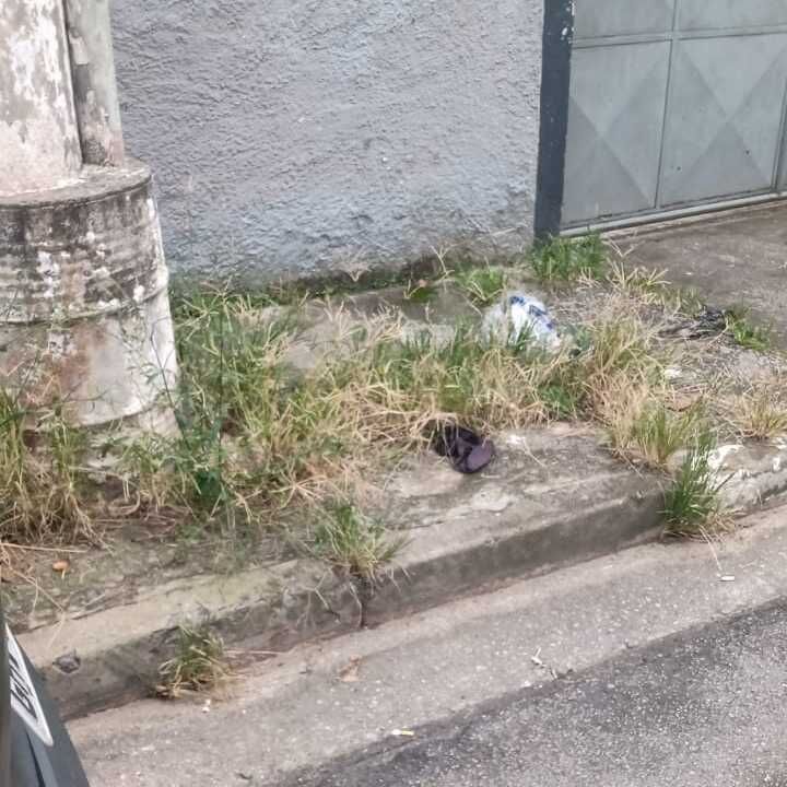 Imagem da publicação