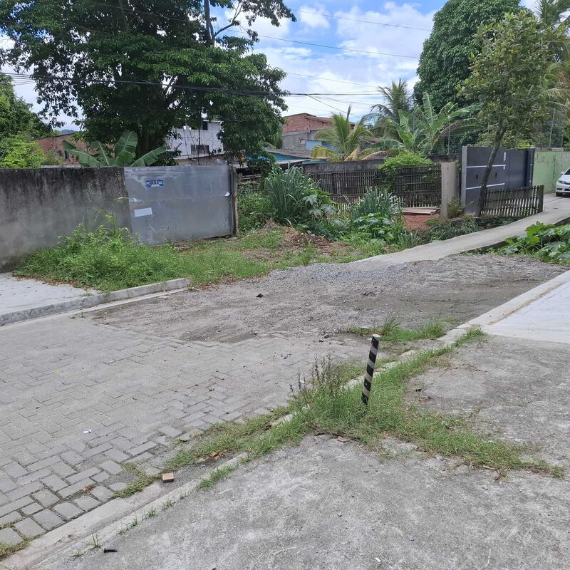 Imagem da publicação