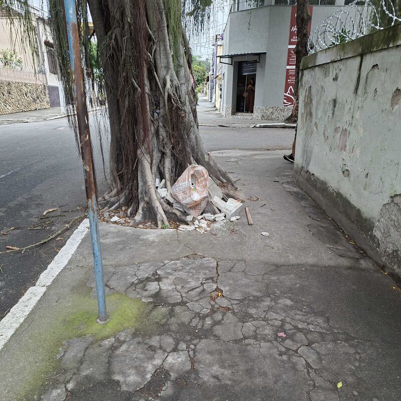 Imagem da publicação