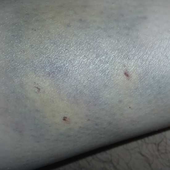 Imagem da publicação