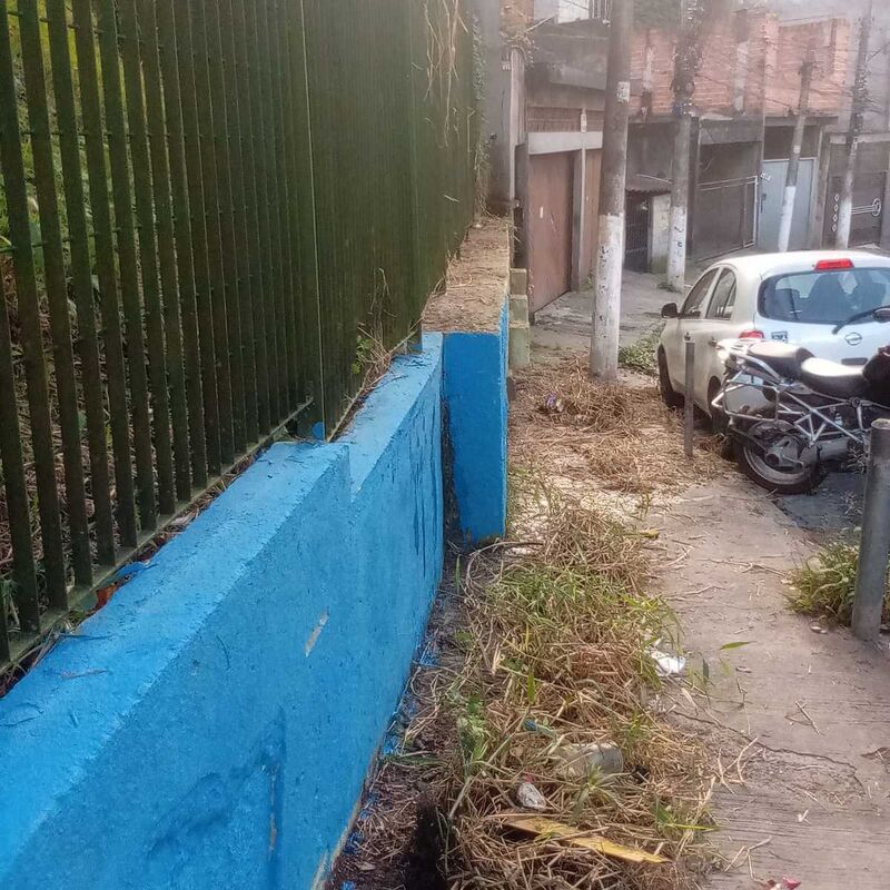 Imagem da publicação