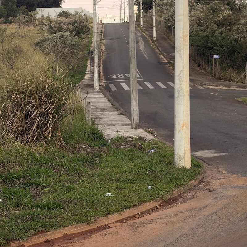 Imagem da publicação