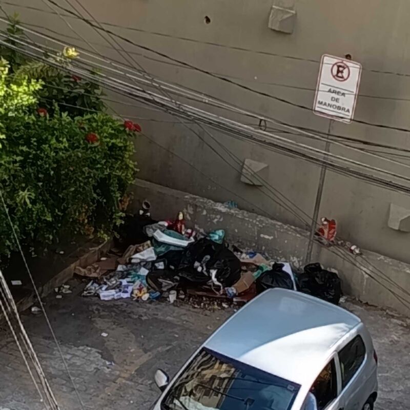 Imagem da publicação