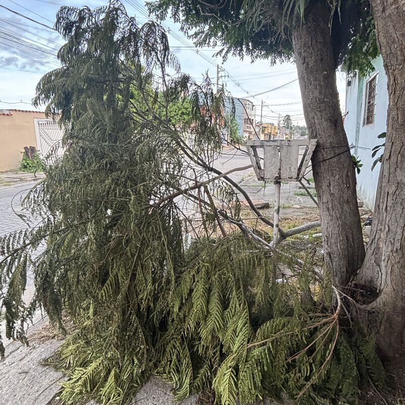 Imagem da publicação