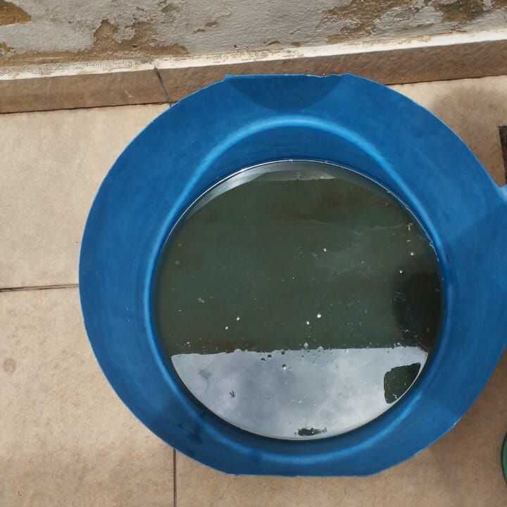 Imagem da publicação