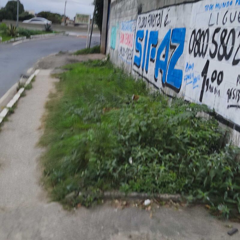 Imagem da publicação