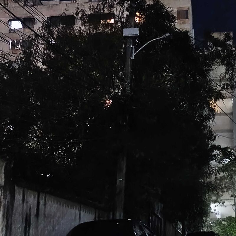 Imagem da publicação