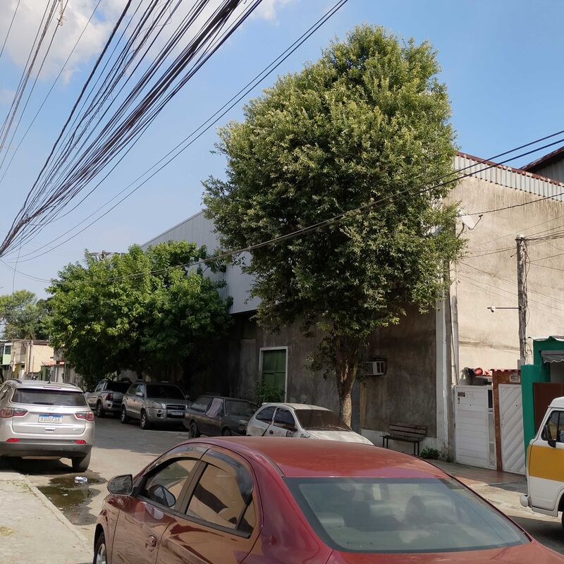 Imagem da publicação