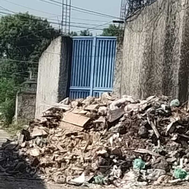 Imagem da publicação