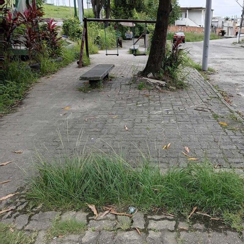 Imagem da publicação