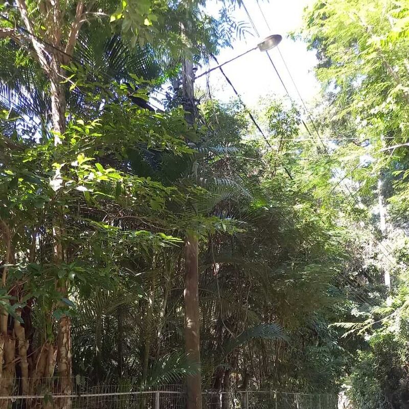 Imagem da publicação