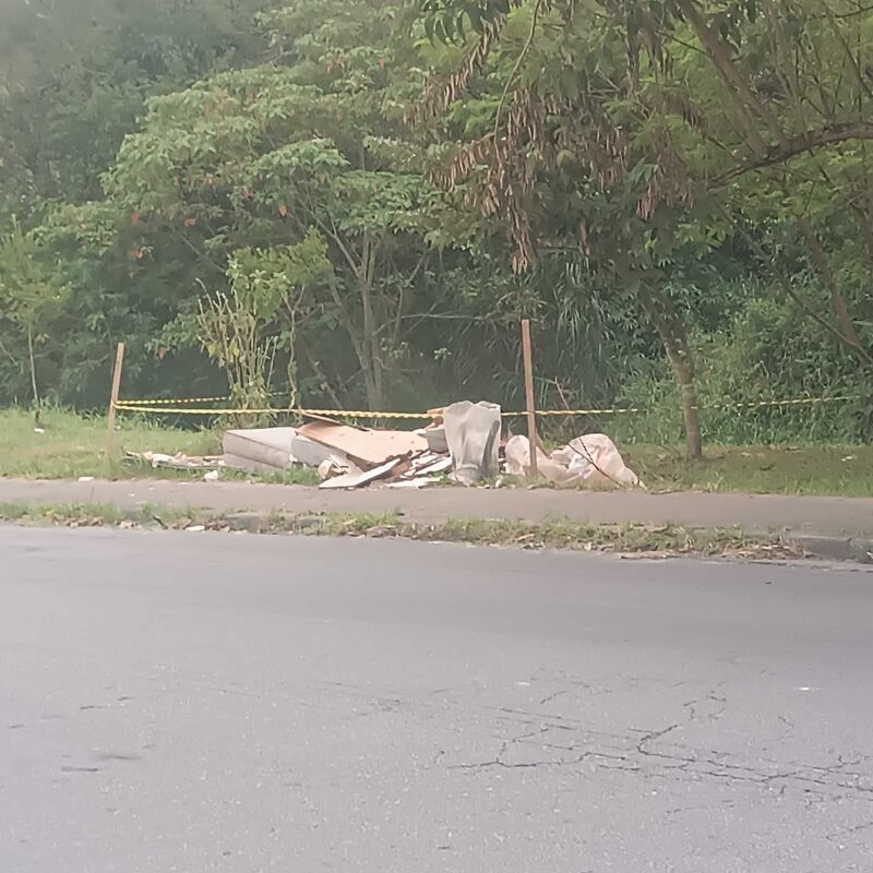 Imagem da publicação