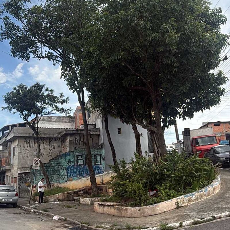 Imagem da publicação