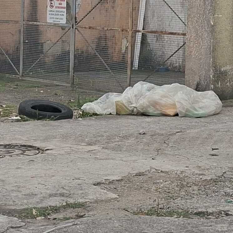 Imagem da publicação