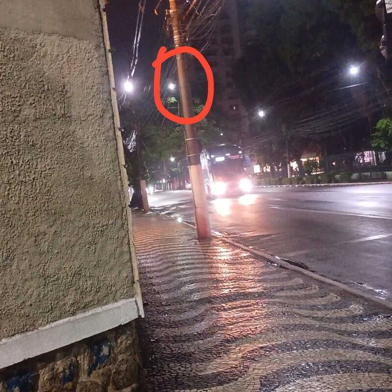 Imagem da publicação