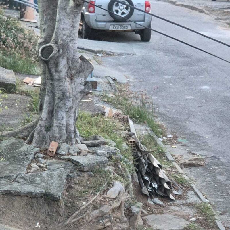 Imagem da publicação