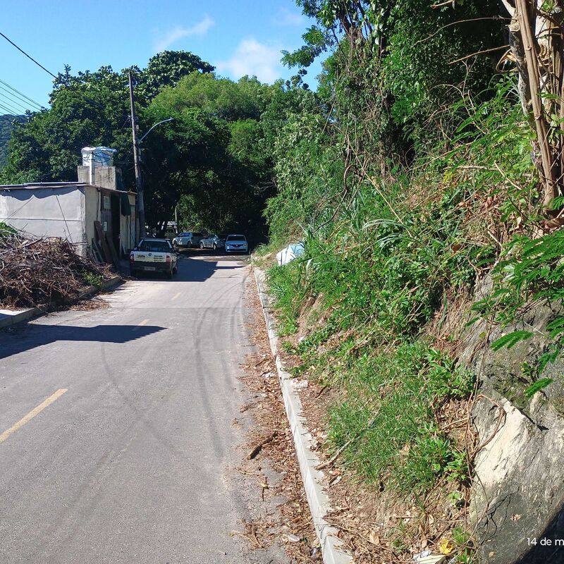 Imagem da publicação