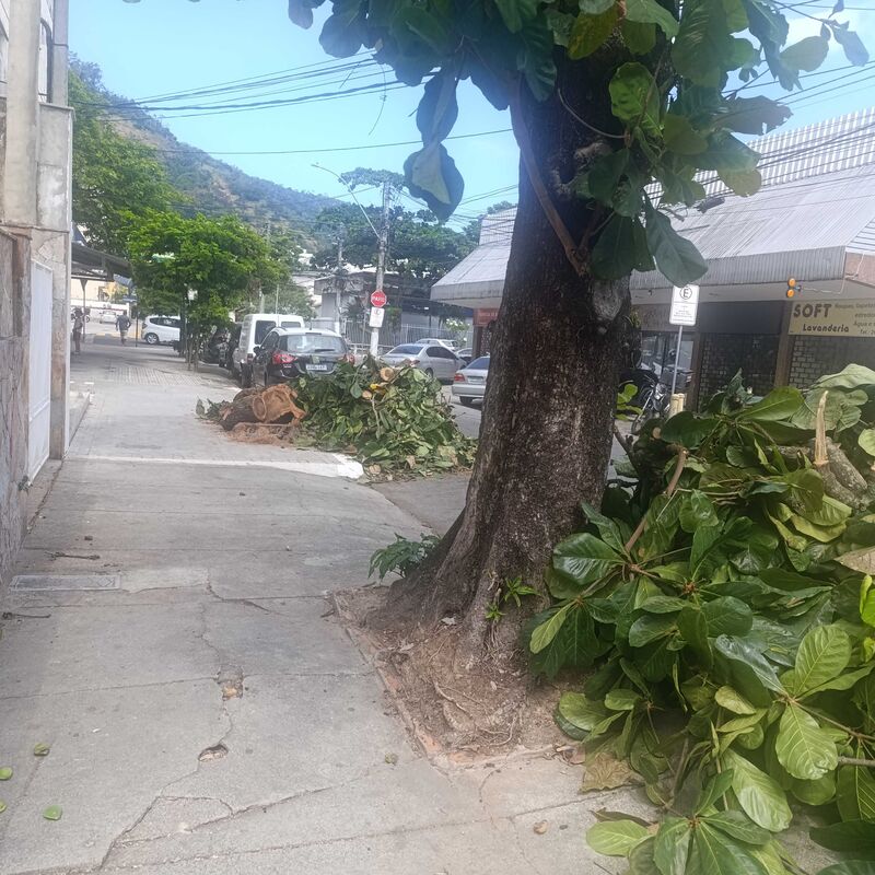 Imagem da publicação