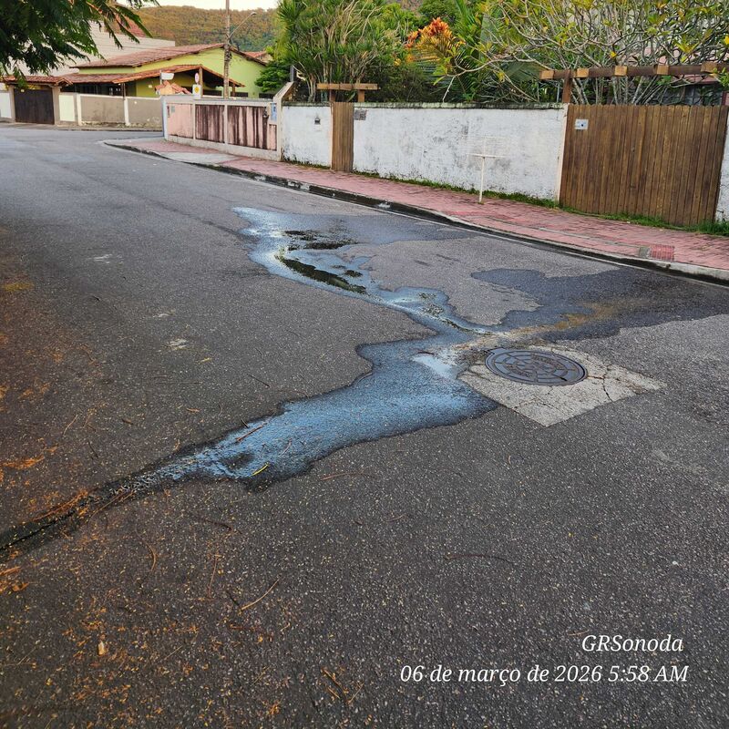 Imagem da publicação