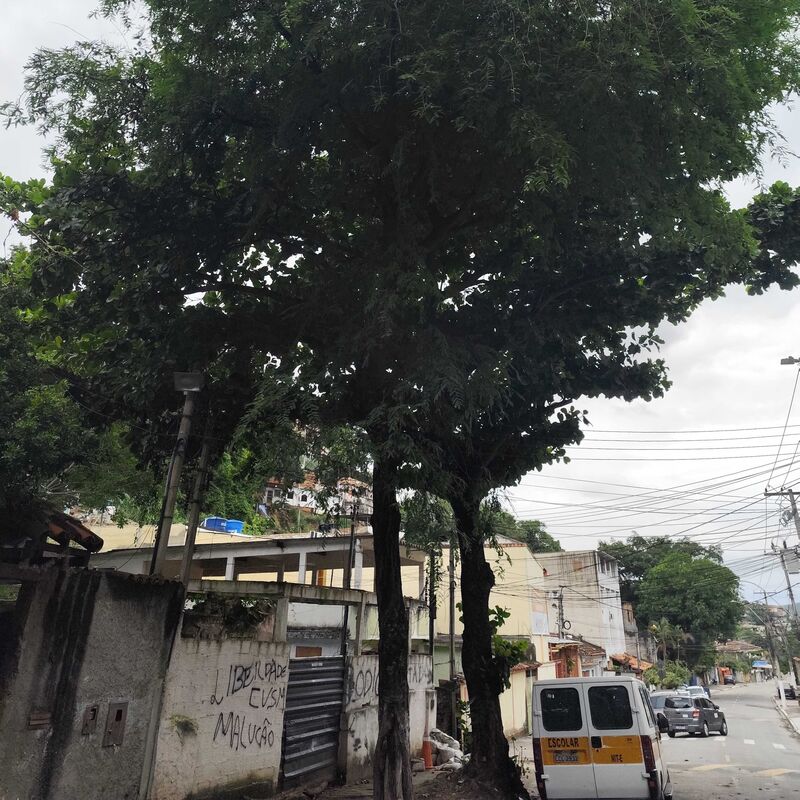 Imagem da publicação