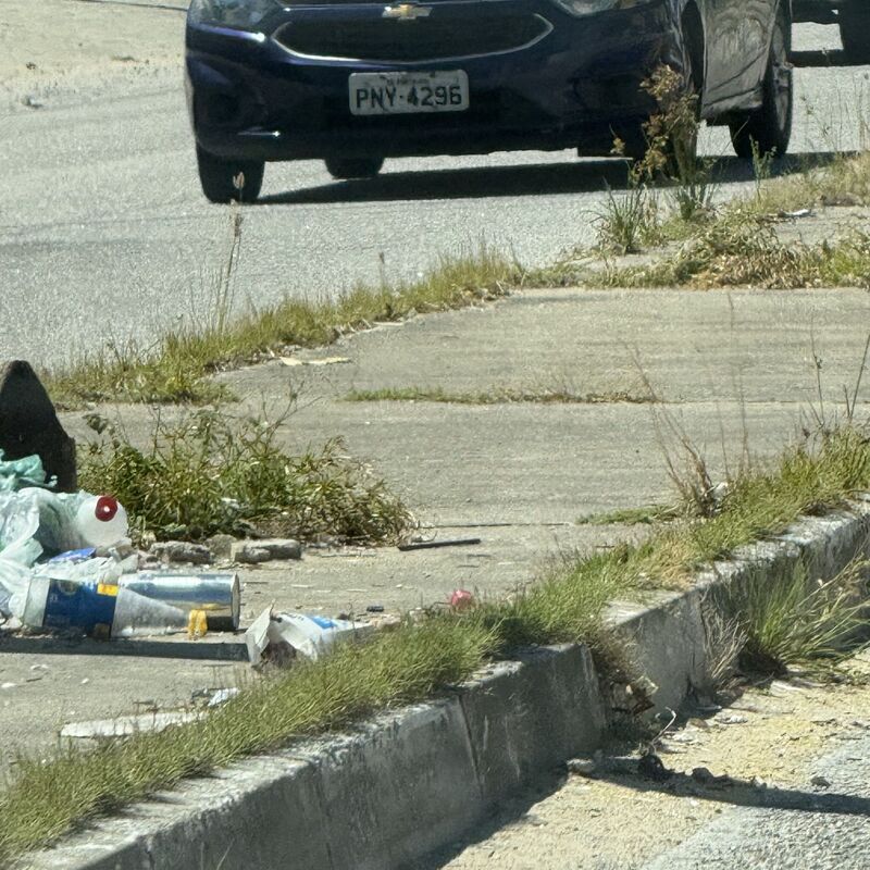 Imagem da publicação