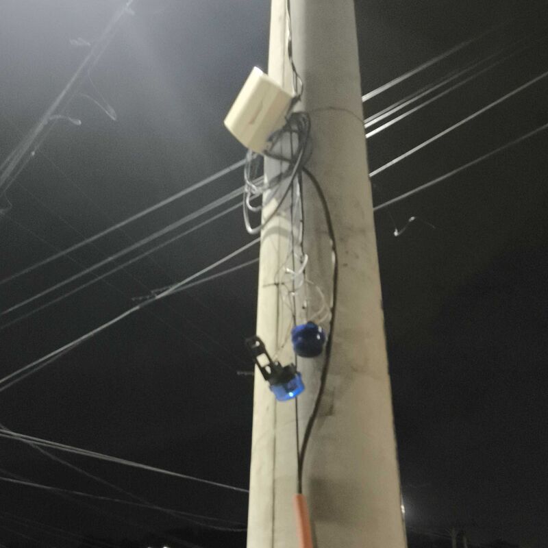 Imagem da publicação